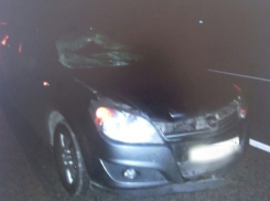 В Ростовской области водитель Opel  сбил насмерть пешехода