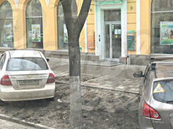 Наглые автовладельцы «по-свински» оставили машины на газоне в центре Ростова