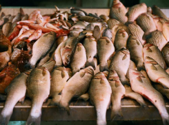 На Пушкинской в Ростове незаконно продавали живую рыбу