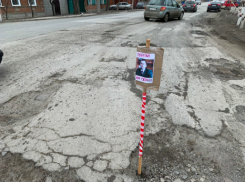 Глубокие ямы украсили лицами мэра и депутатов под Ростовом 