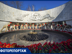 В Ростове в День защитника Отечества возложили цветы к мемориалу «Павшим воинам»