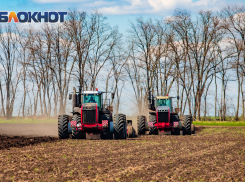 Засуха уничтожила более 60 тысяч гектаров посевов на Дону