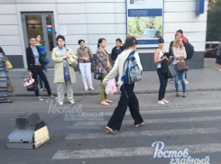 Девушка с телевизором на поводке поразила ростовчан