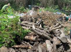 На Зеленом острове база отдыха устроила незаконную свалку