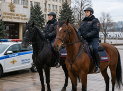Полиция Ростова получила необычное пополнение