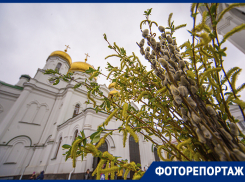 Верующие жители Ростова встретили Вербное воскресенье в храмах города