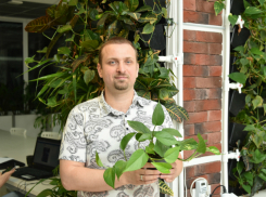 Выращивать растения по-новому для качественного урожая взялись ростовские ученые