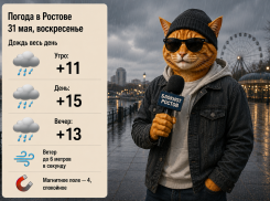 Последний день весны в Ростове пройдет под дождем