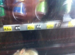 В вендинговом аппарате «Леруа Мерлен» поселилась мышь 