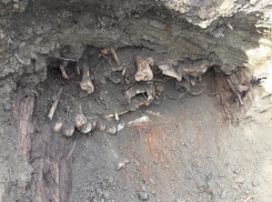 В Ростовской области поисковики нашли останки 30 бойцов Красной Армии