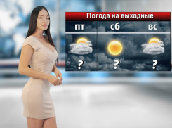 Потепление ожидается на выходных в Ростове