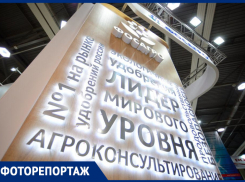 Василий Голубев о развитии сельского хозяйства: «Высокий урожай невозможен без минеральных удобрений»