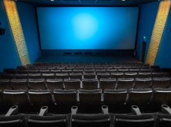 Около 100 фильмов из 40 стран мира: в Ростове пройдет фестиваль BRIDGE of ARTS