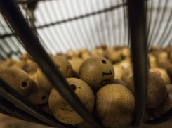 Ростовчанин, выигравший лотерею, радовался и плясал, поняв, что погасит ипотеку