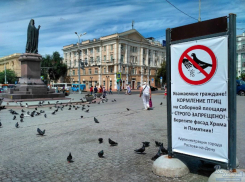 Запретом на кормление голубей в Ростове спасают фасад храма и памятник