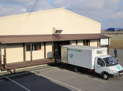 В «деле Быковской» рассказали, как фабриковалась цена вывоза медотходов в Ростовской области