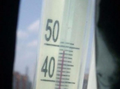 В Ростове столбик термометра достиг отметки 49 