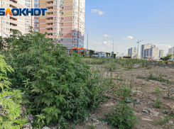 Иностранный препарат для лечения детей с аллергией исчез из Ростова 