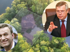 Василия Голубева заподозрили в связях с Алексеем Навальным