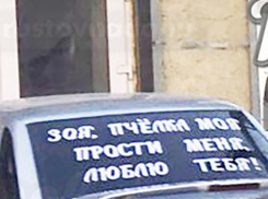 Ростовский романтик попытался оригинально вымолить прощение у своей «Пчелки»