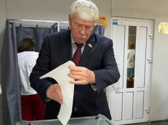 К выборам в донской парламент привлекли более 23 тысяч наблюдателей 