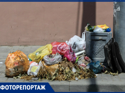 Битые бутылки, горы окурков и собачьи какашки: центр Ростова без прикрас