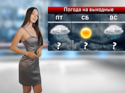 В Ростовской области на выходных будет лить дождь