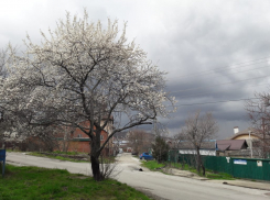 Дожди и похолодание ожидаются на этой неделе в Ростове