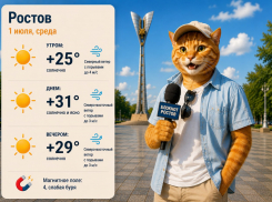 Жара до +31 ворвётся в Ростов в первый день июля