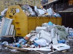 Управляющую компанию «Пик-Комфорт» наказали за мусорную свалку во дворе Ростова