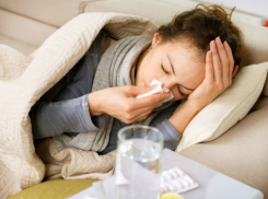 Об эпидемии гриппа объявили в Ростове-на-Дону 