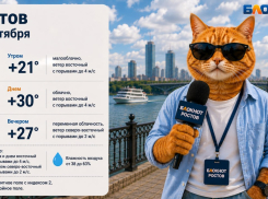 В Ростове 2 сентября жара до +30 градусов