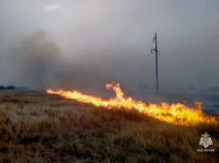 МЧС назвали основную причину ландшафтных пожаров в Ростовской области