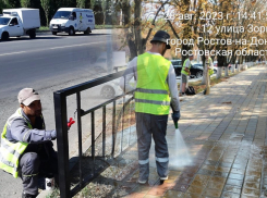 В Ростове проводят рейды чистоты к 1 сентября и Дню города 