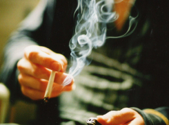 Имеющий порочные привычки пастух «случайно» сжег пшеничное поле под Ростовом