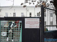 В Ростове Центр безнадзорных животных проверяет ОБЭП 