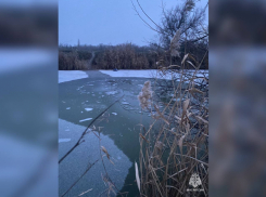 В Аксайском районе на водоеме погиб 10-летний ребенок – следствие проводит проверку