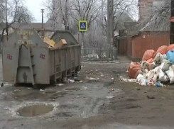 В Ростове-на-Дону предприниматели продолжают загрязнять контейнерные площадки жителей