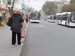 После многочисленных жалоб автобусы большой вместимости вернули на маршрут №28 в Ростове 