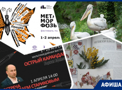 Смотрим карикатуры, кормим пеликанов и болеем за футболистов: куда пойти в Ростове на этой неделе