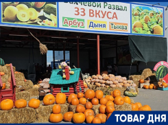ТОВАР ДНЯ: Тыква в подарок на тыквенной ферме Андраника Срапионяна 
