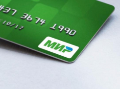 К концу года платежная система «Мир» в Ростовской области заменит Visa и Master Card