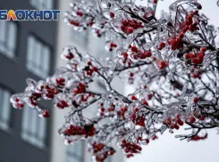 Мороз до -31 градуса придет в Ростовскую область в феврале