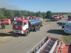 Крупный лесной пожар вспыхнул на территории лесничества в Ростовской области