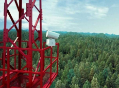 В Ростовской области с борьбе с лесными пожарами помогут «умные» камеры