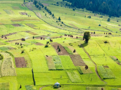 Власти Ростовской области снизили арендную плату за землю на 50% из-за санкций