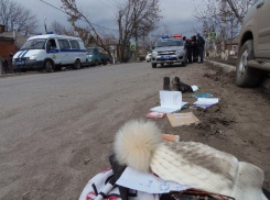 Жители Батайска обратились к Владимиру Путину из-за погибших на переходе школьниц 