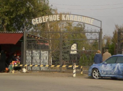 Сотрудники «Службы городских кладбищ» попросили прокуратуру Ростова проверить своего руководителя