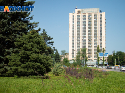 Ростов готовится к новой программе озеленения города