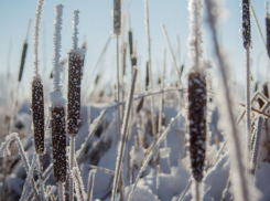  Мороз до -6 градусов ожидается в Ростове 2 декабря